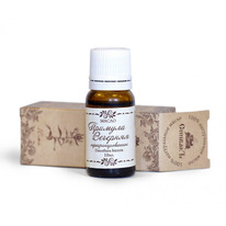 ����� ������� �������� ����������������