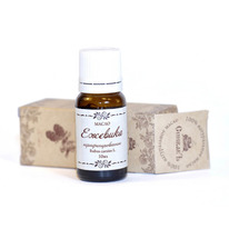 ����� ����� ������� ����������������