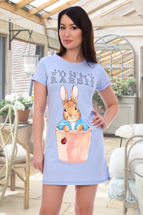 ������ 12803