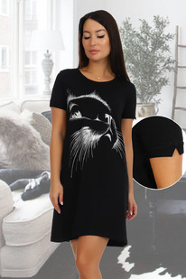 ������ �����