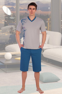 ������ 2490