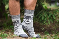 ����� ��������� N6R76-2