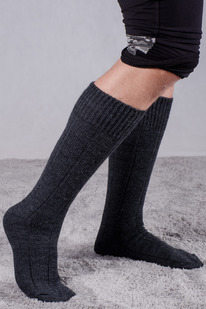 ������ 24970 �������