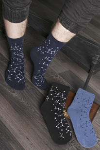 ����� ������ �������