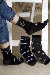 ����� ���� �������