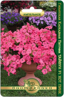 ������� ���������� ��������� ������ F1 ��� ����