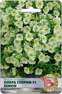 ������� ��������� ����� ������ F1 �����