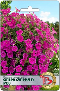 ������� ��������� ����� ������ F1 ���