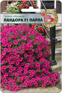 ������� ��������� ������� F1  �����