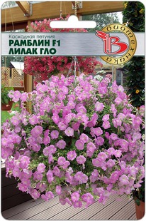 ������� ��������� ������� F1 ����� ���