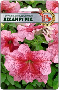 ������� ��������������� ����� F1 ���