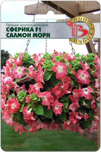 ������� ��������������� ������� F1 ������ ����