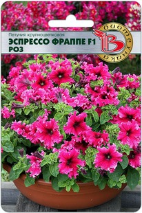 ������� ��������������� �������� ������ F1  ���