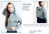 �������� WH1A4-93 ��������� ������� BROSTEM