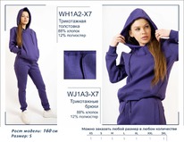 �������� WH1A2-X7 ��������� ������� BROSTEM