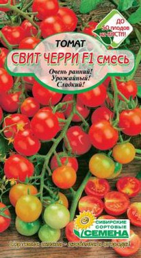 ���� ����� ����� �����