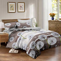 ������� ���������� ����� �� ������� - 1095