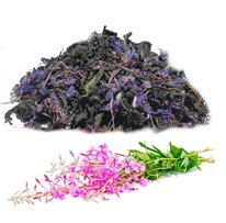 ����-��� � ���������