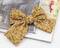 ���� �� �������