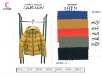 C22D522CW-M266 (�������)