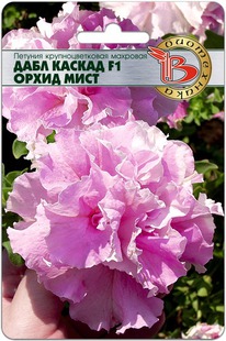 ������� ��������������� �������� ���� ������ F1 ����� ����