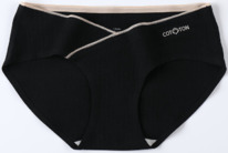 ������� A02747270