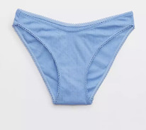 American eagle Aerie Cotton Boxer Underwear Blue Lion