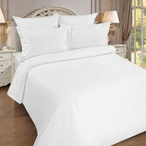      150217, , 100% , . 110 ./. .,  