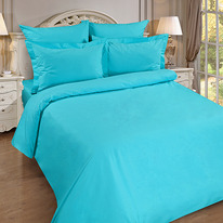      200217, , 100% , . 110 ./. .,  