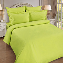      180217, , 100% , . 110 ./. .,  