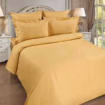      200217, , 100% , . 110 ./. .,  