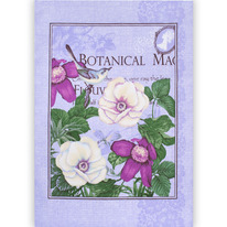  4560, ,  , 100 % ,   ()