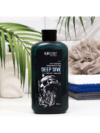 -   2--1 DEEP DIVE,500