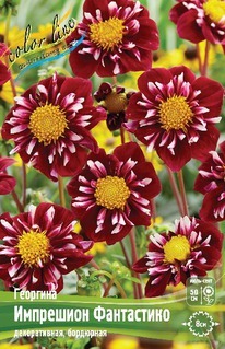 �������� ��������� ����������, �-� I, ������.