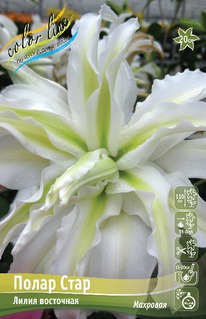 ����� ����� ����, 12/14, ����.����.