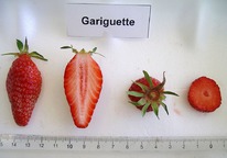 ��������� ����������