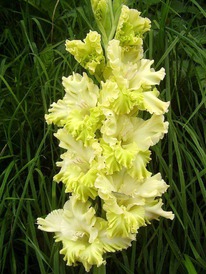 ��������� ��������