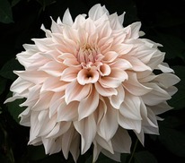 ������� ���� � ����