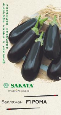 ���� F1 ��������