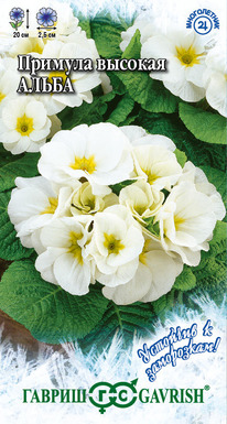 ����� ������� ������� ��