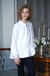 ������ D070-31