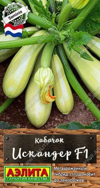 �������� F1 ������� �������