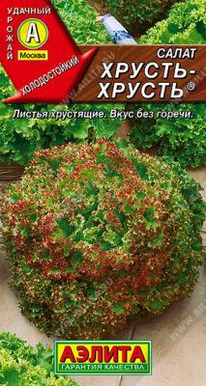 ������-������ ����� ��������