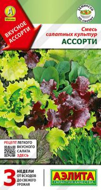 ����� �������� ������� �������