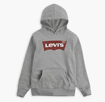 LS LOGO HOODIE BIG BOYS Grey Heather - Grey