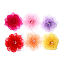 ���� ��� ����� 