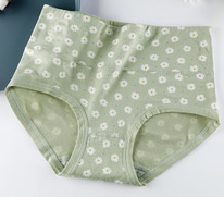 ������� A12937240