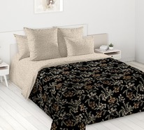 ����������� ��������� ��������� �������� �������� 1, �������