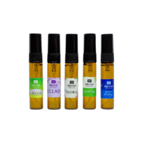 SPRING COLLECTION for Women (5  5 )