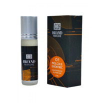   Molcule Exentric 01 (6 .)